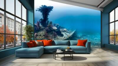 Underwater wreck in Indonesia Wall mural