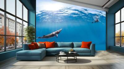 Whale and diver panorama Wall mural