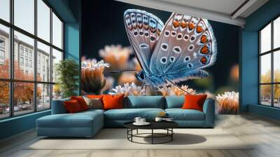 Close-up of a Blue Butterfly on a Flower Wall mural