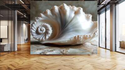 Close-up of a White Seashell with a Spiral Pattern Wall mural