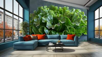 Fresh Green Lettuce Leaves: A Close-Up View Wall mural