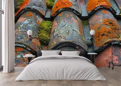 Weathered Roof Tiles with Moss and Lichen Wall mural