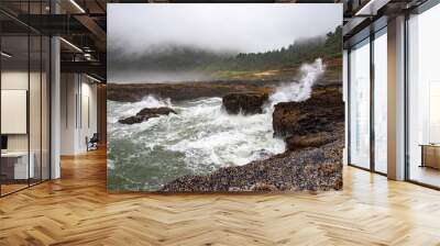 Waves Crashing on the Rocky Shore Wall mural