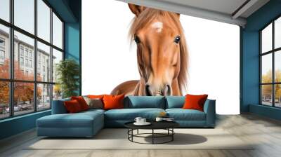 Horse head close up isolated on white, transparent cutout Wall mural