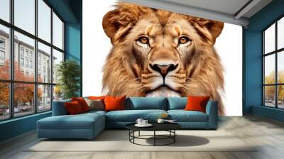 Lion face shot isolated on white background, Transparent cutout Wall mural