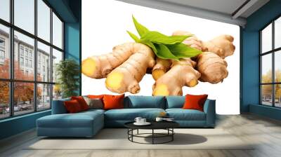 Raw fresh ginger isolated on white background Wall mural