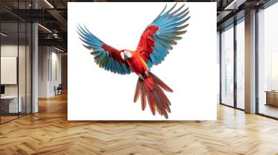 Set of scarlet macaw birds flying isolated on transparent background Wall mural