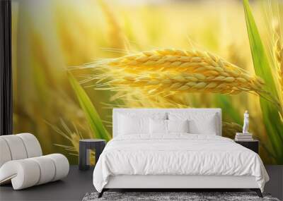 ears of wheat on a field Wall mural