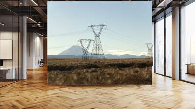 Electricity Pylons cross New Zealand Wall mural