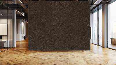 Soil texture background Wall mural