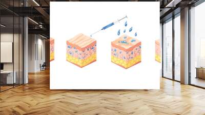 Hyaluronic acid isometric. Profile view cubes representing skin structure layers icons. Subcutaneous tissue, dermis and epidermis anatomical structure. Cartoon  illustration isolated on white Wall mural