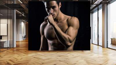 Handsome muscular shirtless young man standing confident, front view, looking at camera Wall mural