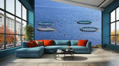 Aquaculture settlement, fish farm with floating circle cages around bay of Attica in Greece. Wall mural