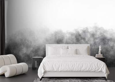 Realistic black cloud or smoke. Black fog or smoke on transparent background. PNG image Wall mural