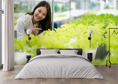 A young Asian businesswoman organic farm owner Happy at the quality of organic vegetables harvested on the farm Commercially grown organic farming business idea, Agriculture Innovation Technology . Wall mural