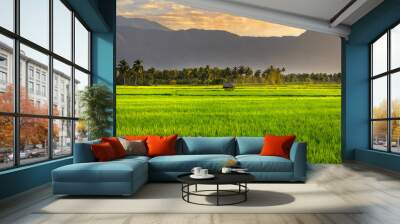 A hut in the middle of vast paddy fields at Kollengode, Palakkad - A Kerala, Tamil Nadu border village famous for its beautiful stretch of paddy fields, mountain views and waterfalls. Wall mural