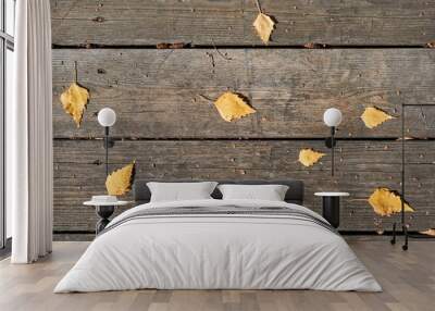 Old wooden plank surface of the house porch with yellow leaves of a birch. Wall mural