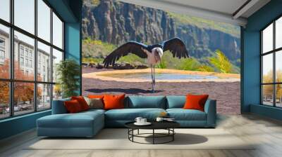 Marabou stork bird in animals park in Gran Canaria, Spain Wall mural