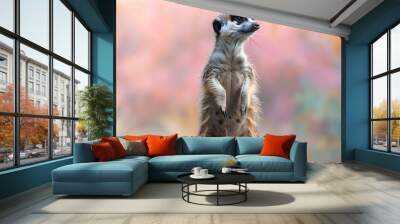 Curious Meerkat Standing on Rock with Blurred Background Wall mural