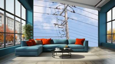 Electricity post Wall mural