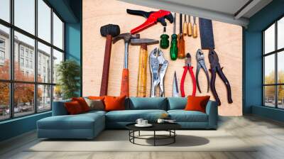 Hand tools. Wall mural