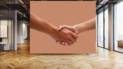 A man and woman handshake isolated on brown backgrounds
 Wall mural