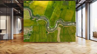 aerial view of devious river in a fields Wall mural