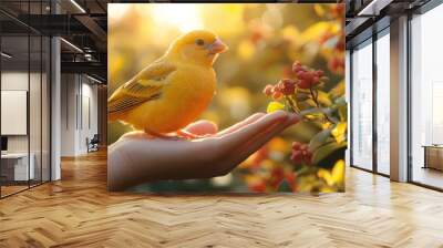 Vibrant yellow bird perched on a person's hand, near some small red berries, against a warm, sunlit background Wall mural