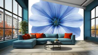 blue flower on white background Wall mural