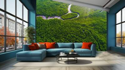 Aerial view of mangrove forest with sea coastline Wall mural