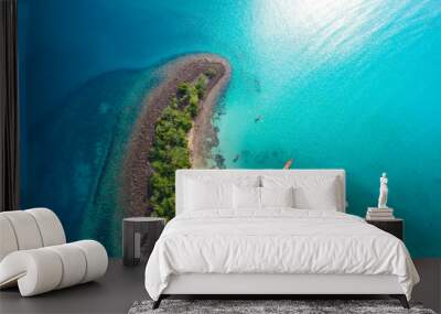 Amazing island with sand beach green tree forest aerial view Wall mural