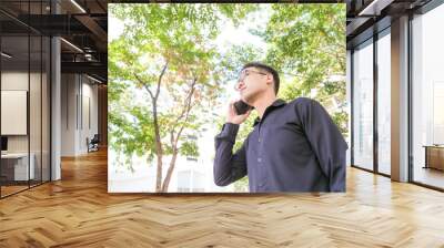 Business man talking on cellphone in green park Wall mural