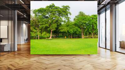 Green beautiful public park with green grass field Wall mural