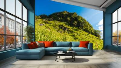 Green scene sub alpine mountain blue sky Wall mural