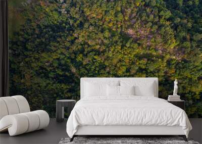 Mountain green forest autumn season aerial view Wall mural