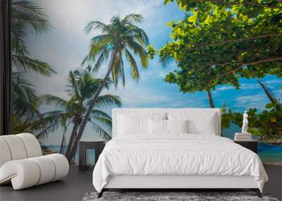 Uprisen angle view  of nice tropical background with coconut pal Wall mural