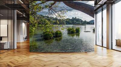 Ancient Capital of Sri Lanka, Kandy and it's popular and famous Lake, the Kandy Lake, surrounded by the world famous Dalada Maligawa the sacred place of worship for the Buddhists of Sri Lanka Wall mural