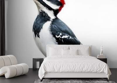 A black and white bird with red beak and red feathers Wall mural