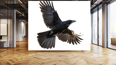 A black crow is flying in the air with its wings spread wide Wall mural