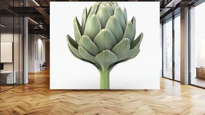 A large, green vegetable with a stem and leaves Wall mural