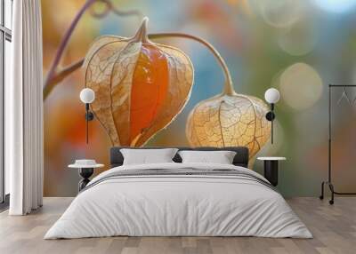 A close-up of physalis with a blurred background Wall mural