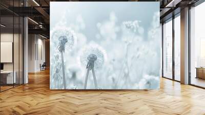 A pristine white dandelion against a soft white backdrop Wall mural