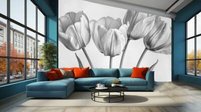 Black and white illustration of tulips Wall mural