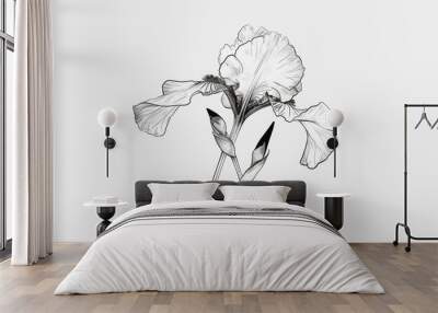 Iris flower on white background Wall mural