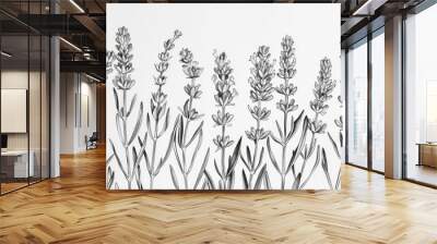 Monochrome illustration of lavender flowers Wall mural