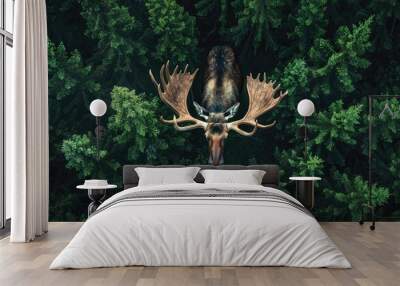 Top view of a moose standing at the edge of a forest clearing Wall mural