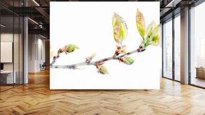 tree sprout with coins growing from its buds, watercolor illustration on white background Wall mural