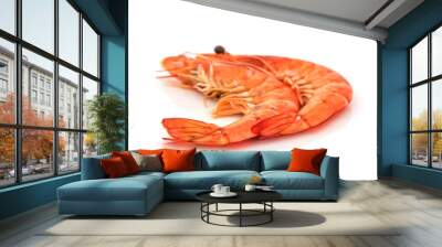 fresh shrimp isolated on a white background Wall mural