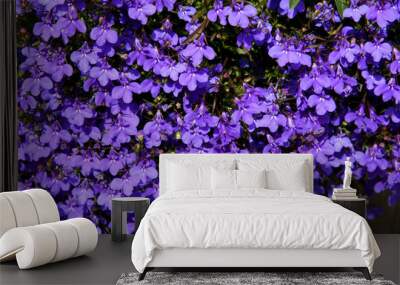 wall of flowers Wall mural