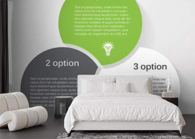 Vector circle infographic diagram 3 options Wall mural